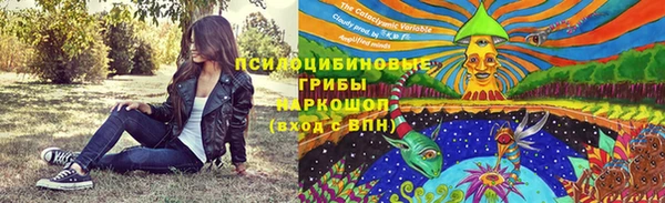 mdpv Богданович