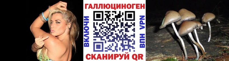 Галлюциногенные грибы Magic Shrooms  купить наркотики цена  ОМГ ОМГ ТОР  Дальнереченск 